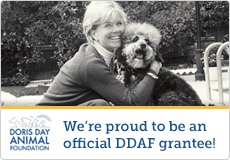 Doris Day Animal Foundation banner